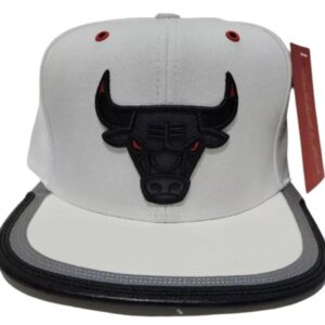 gorra Chicago bulls day one