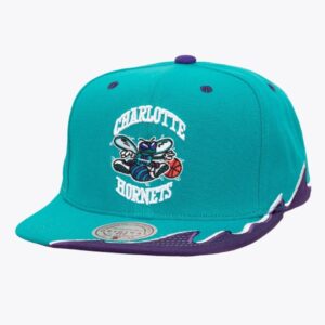 gorra Charlotte hornets