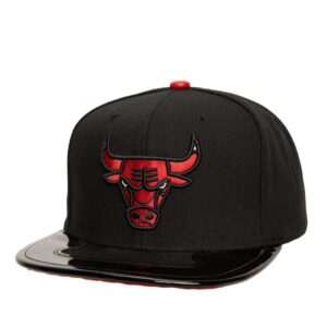 gorra Chicago bulls day 11