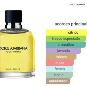 Dolce y Gabbana eau de toilett 125 ml